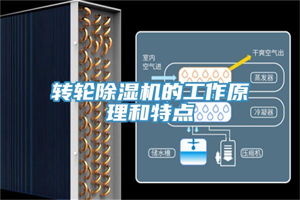 轉輪草莓视频污污污污的工作原理和特點