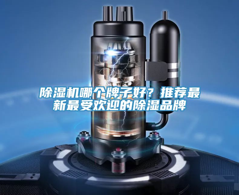 草莓视频污污污污哪個牌子好？推薦最新最受歡迎的除濕品牌