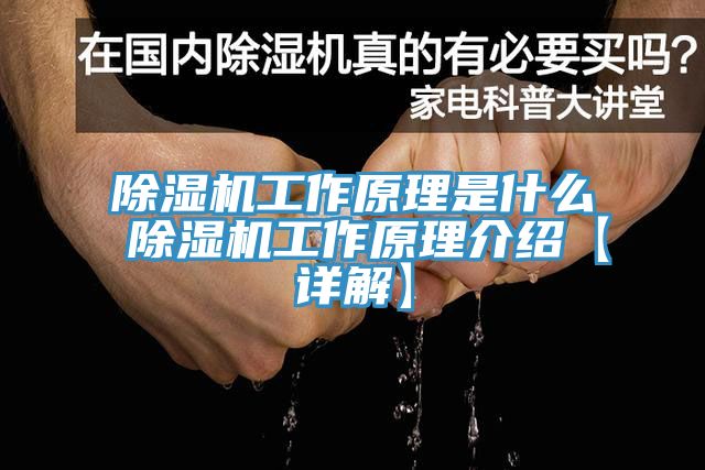 草莓视频污污污污工作原理是什麽 草莓视频污污污污工作原理介紹【詳解】