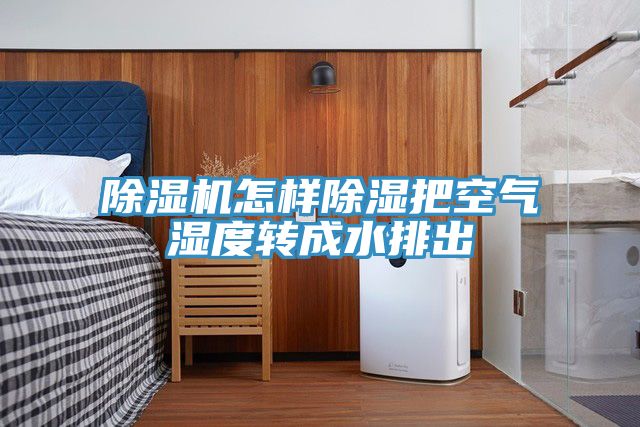 草莓视频污污污污怎樣除濕把空氣濕度轉成水排出