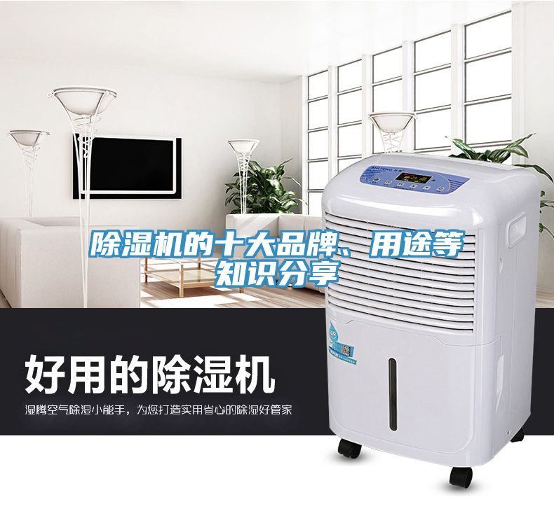 草莓视频污污污污的十大品牌、用途等知識分享