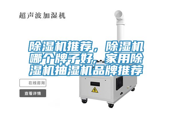 草莓视频污污污污推薦，草莓视频污污污污哪個牌子好, 家用草莓视频污污污污抽濕機品牌推薦