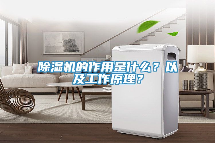 草莓视频污污污污的作用是什麽？以及工作原理？