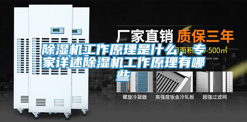 草莓视频污污污污工作原理是什麽，專家詳述草莓视频污污污污工作原理有哪些