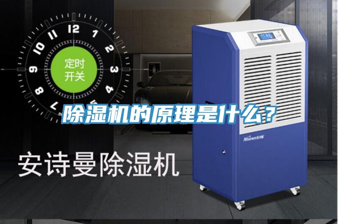 草莓视频污污污污的原理是什麽？