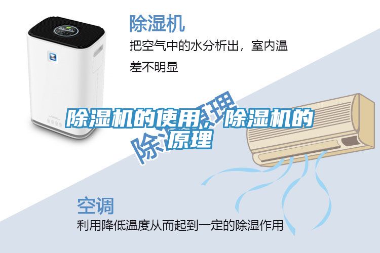 草莓视频污污污污的使用，草莓视频污污污污的原理