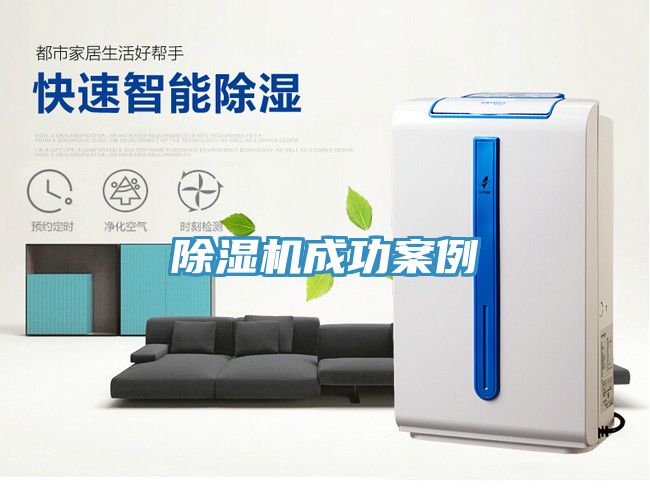 草莓视频污污污污成功案例
