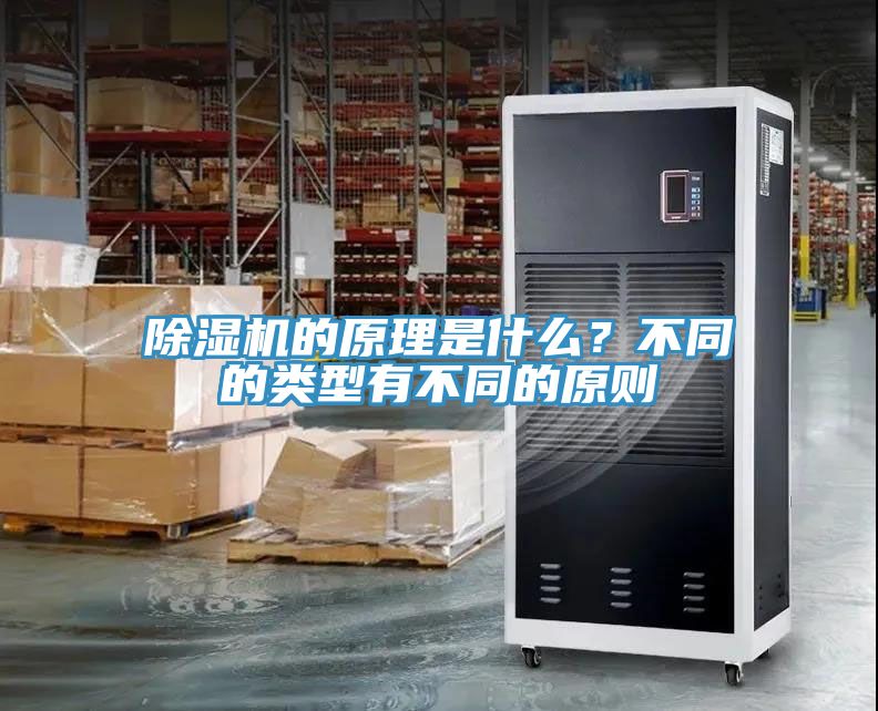 草莓视频污污污污的原理是什麽？不同的類型有不同的原則