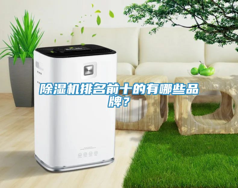 草莓视频污污污污排名前十的有哪些品牌？