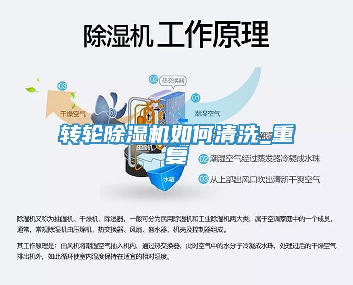 轉輪草莓视频污污污污如何清洗_重複