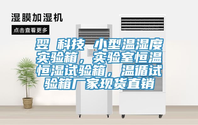 翌昇科技 小型溫濕度實驗箱，實驗室恒溫恒濕試驗箱，溫循試驗箱廠家現貨直銷