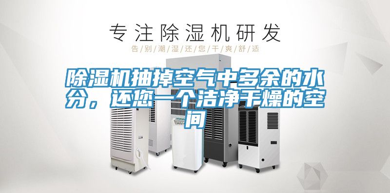 草莓视频污污污污抽掉空氣中多餘的水分，還您一個潔淨幹燥的空間
