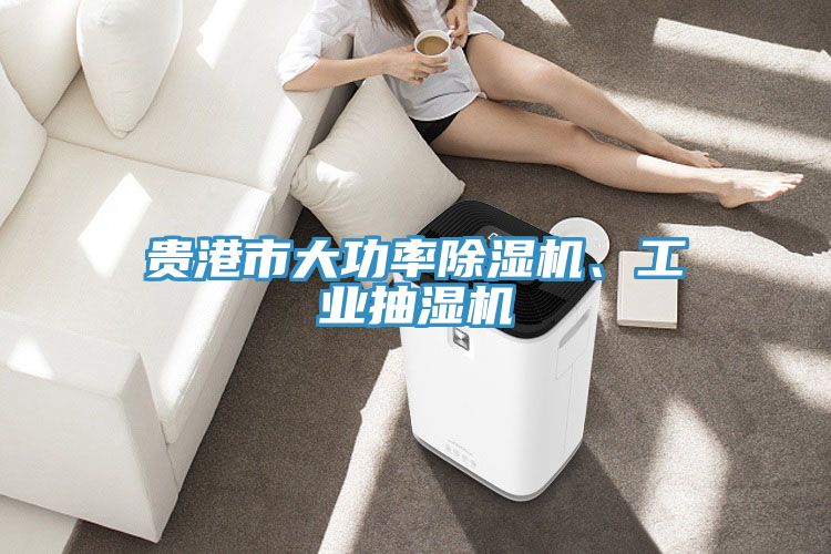 貴港市大功率草莓视频污污污污、工業抽濕機