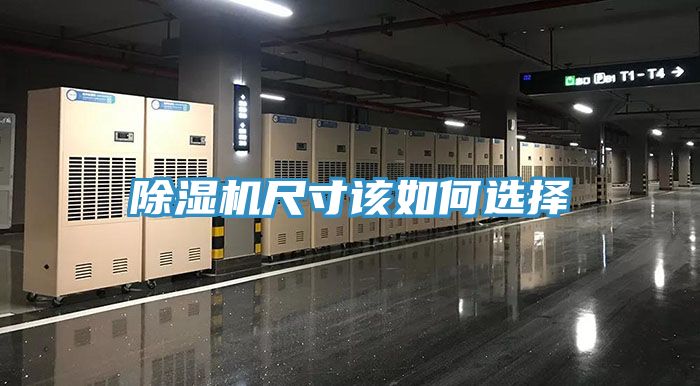 草莓视频污污污污尺寸該如何選擇