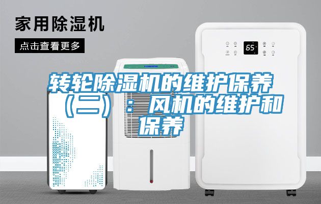 轉輪草莓视频污污污污的維護保養（二）：風機的維護和保養
