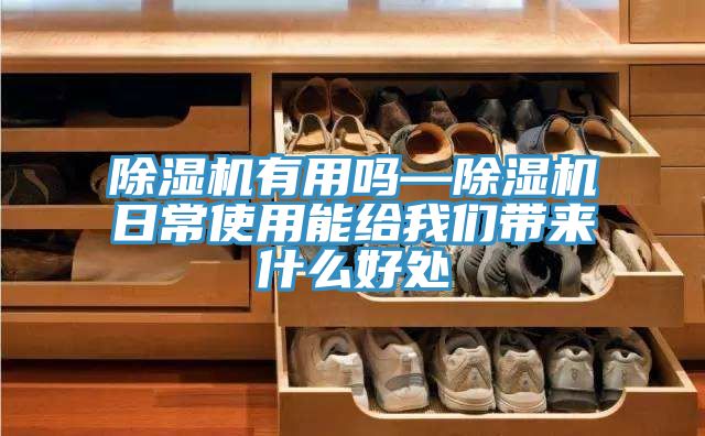 草莓视频污污污污有用嗎—草莓视频污污污污日常使用能給草莓视频黄污下载帶來什麽好處