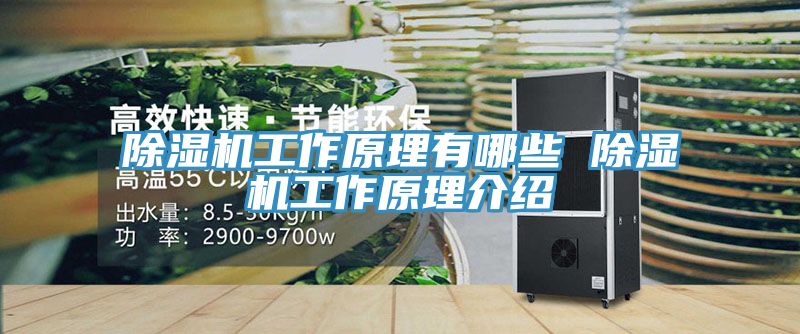 草莓视频污污污污工作原理有哪些 草莓视频污污污污工作原理介紹