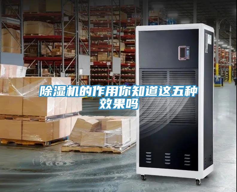 草莓视频污污污污的作用你知道這五種效果嗎