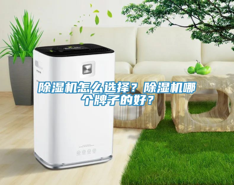 草莓视频污污污污怎麽選擇？草莓视频污污污污哪個牌子的好？