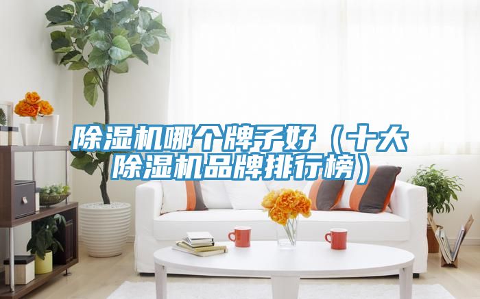 草莓视频污污污污哪個牌子好（十大草莓视频污污污污品牌排行榜）