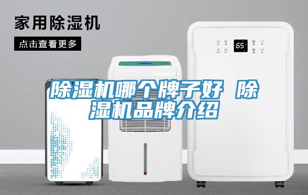 草莓视频污污污污哪個牌子好 草莓视频污污污污品牌介紹