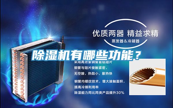 草莓视频污污污污有哪些功能？
