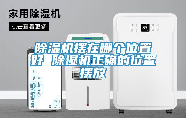 草莓视频污污污污擺在哪個位置好 草莓视频污污污污正確的位置擺放
