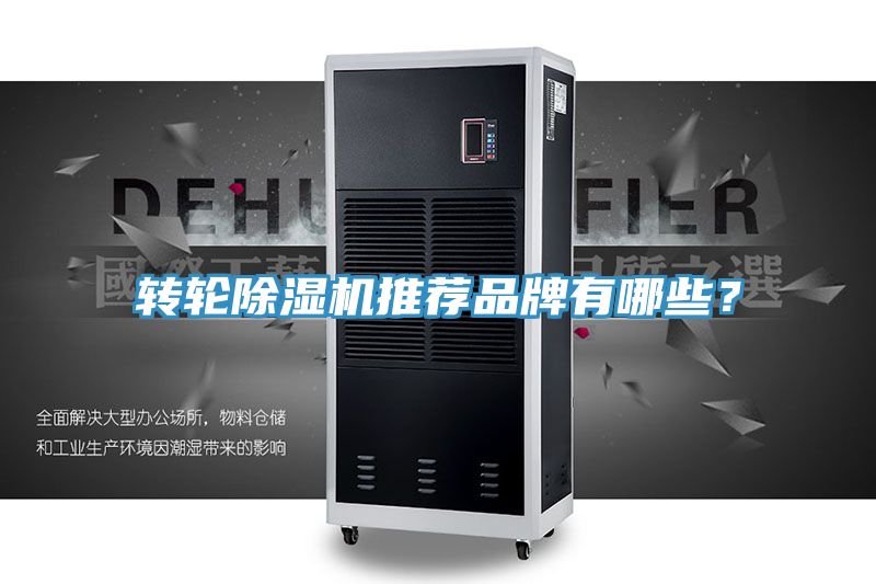 轉輪草莓视频污污污污推薦品牌有哪些？