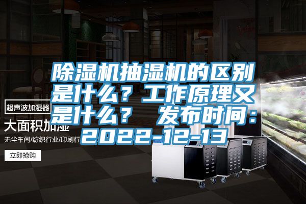 草莓视频污污污污抽濕機的區別是什麽？工作原理又是什麽？ 發布時間：2022-12-13