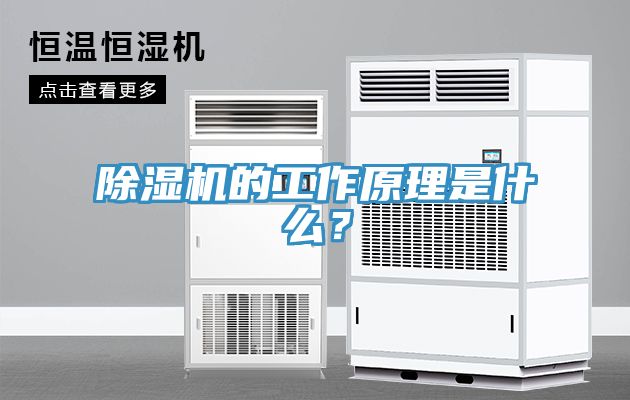 草莓视频污污污污的工作原理是什麽？
