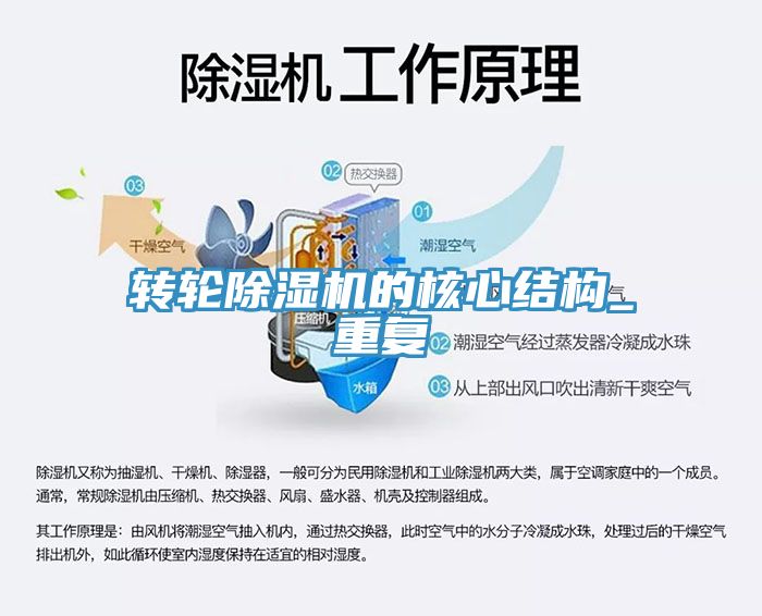 轉輪草莓视频污污污污的核心結構_重複