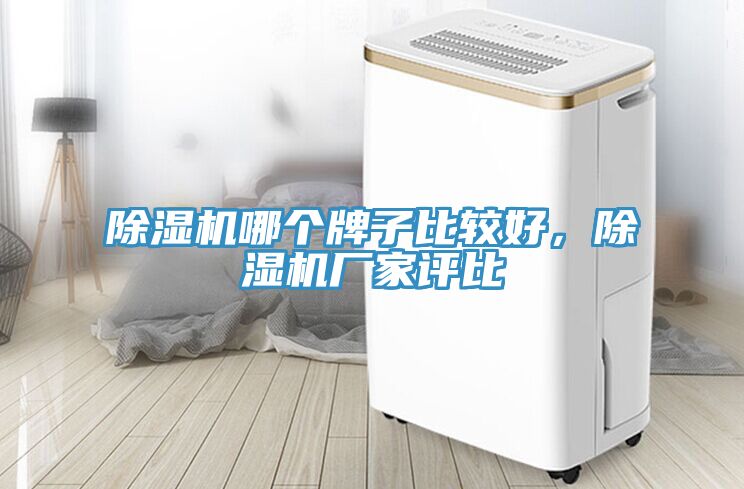 草莓视频污污污污哪個牌子比較好，草莓视频污污污污廠家評比