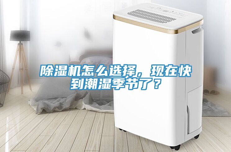 草莓视频污污污污怎麽選擇，現在快到潮濕季節了？