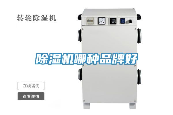 草莓视频污污污污哪種品牌好