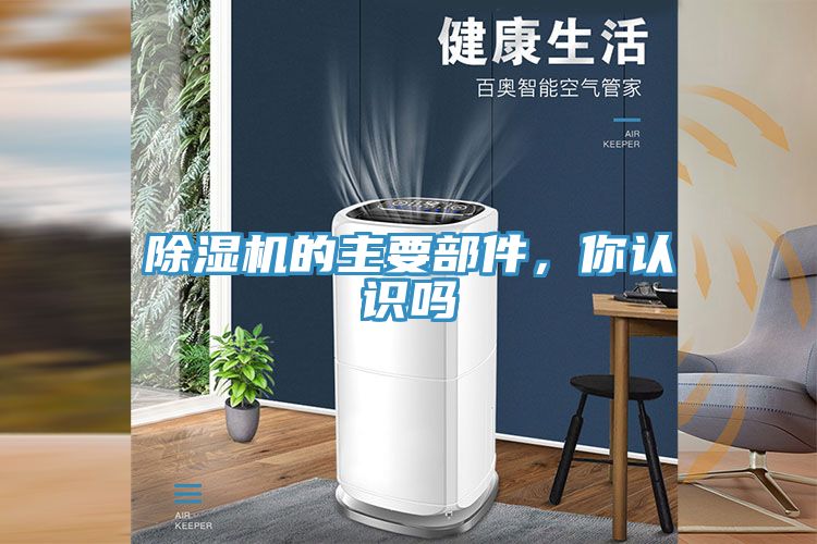 草莓视频污污污污的主要部件，你認識嗎