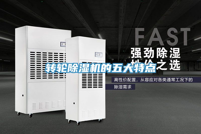 轉輪草莓视频污污污污的五大特點