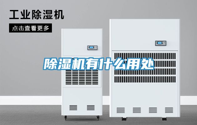 草莓视频污污污污有什麽用處