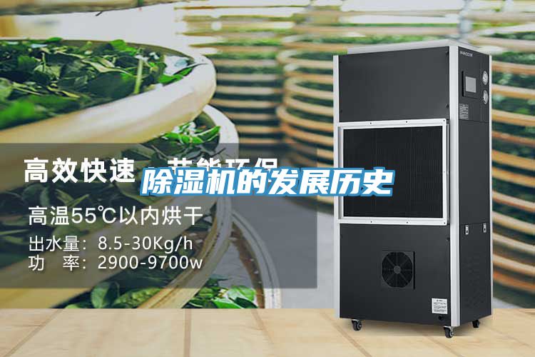 草莓视频污污污污的發展曆史