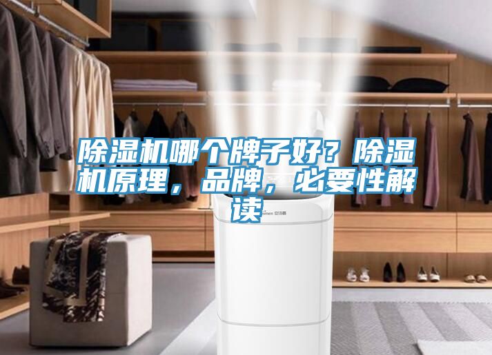 草莓视频污污污污哪個牌子好？草莓视频污污污污原理，品牌，必要性解讀