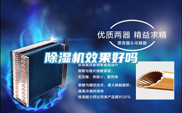 草莓视频污污污污效果好嗎