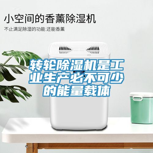 轉輪草莓视频污污污污是工業生產必不可少的能量載體