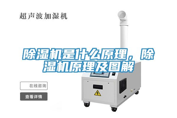 草莓视频污污污污是什麽原理，草莓视频污污污污原理及圖解