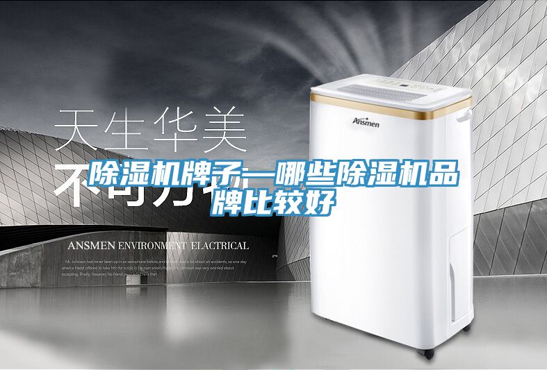 草莓视频污污污污牌子—哪些草莓视频污污污污品牌比較好