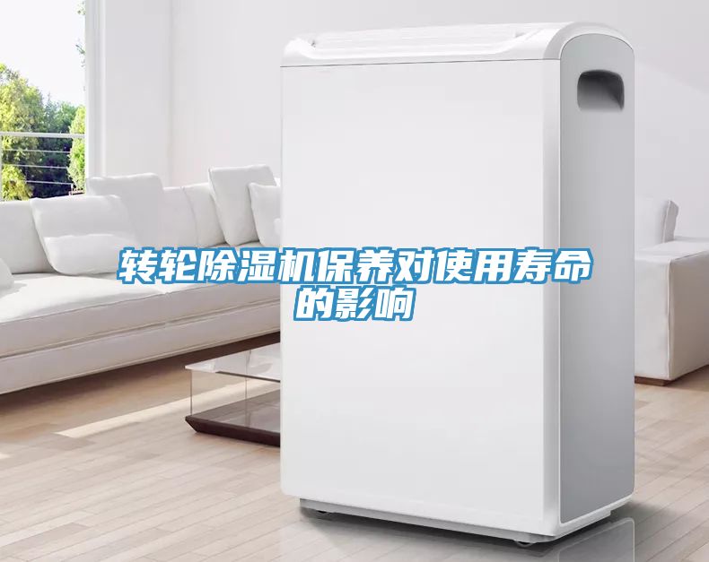 轉輪草莓视频污污污污保養對使用壽命的影響