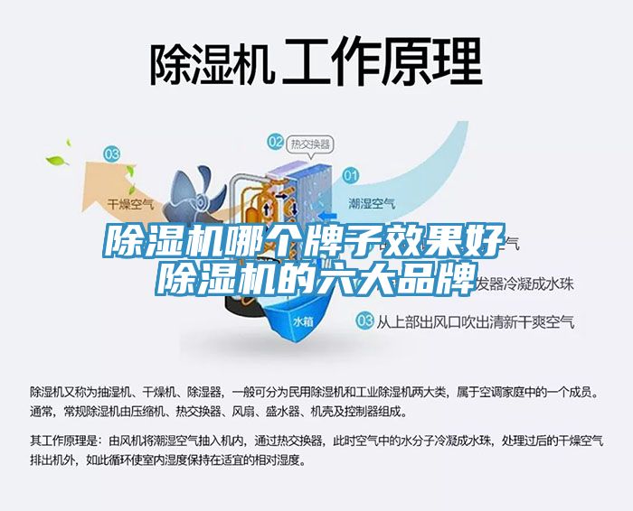草莓视频污污污污哪個牌子效果好 草莓视频污污污污的六大品牌