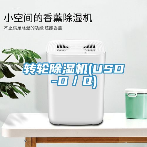 轉輪草莓视频污污污污(USD-D／Q)