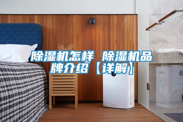 草莓视频污污污污怎樣 草莓视频污污污污品牌介紹【詳解】