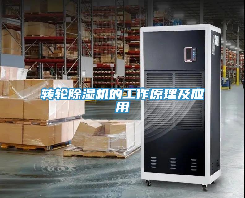 轉輪草莓视频污污污污的工作原理及應用