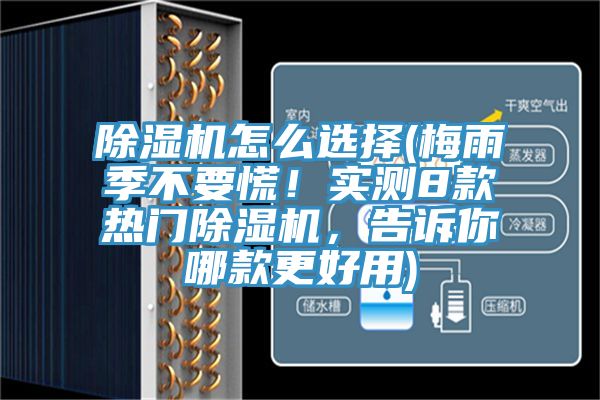 草莓视频污污污污怎麽選擇(梅雨季不要慌！實測8款熱門草莓视频污污污污，告訴你哪款更好用)