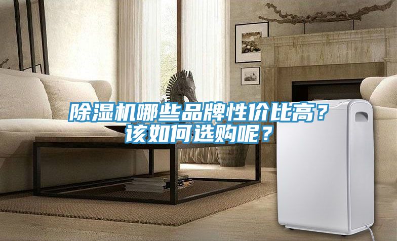 草莓视频污污污污哪些品牌性價比高？該如何選購呢？